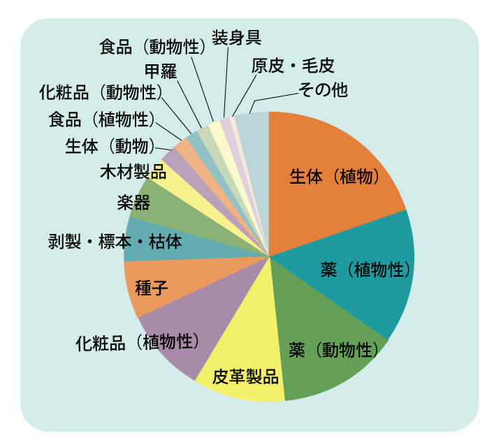 日本の税関で差し止められたワシントン条約該当物品。<br>2017年に輸入を差し止められた803件の内訳。ワシントン条約とは、約3万5,000種の野生生物の取引を規制する国際条約で、税関ではこの条約に基づき、取引規制の対象となる動物・植物そのものや、それらに由来する製品の持ち込みを取り締まっている。