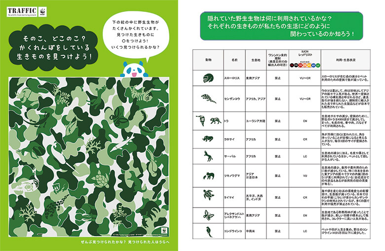 野生生物のかくれんぼシート