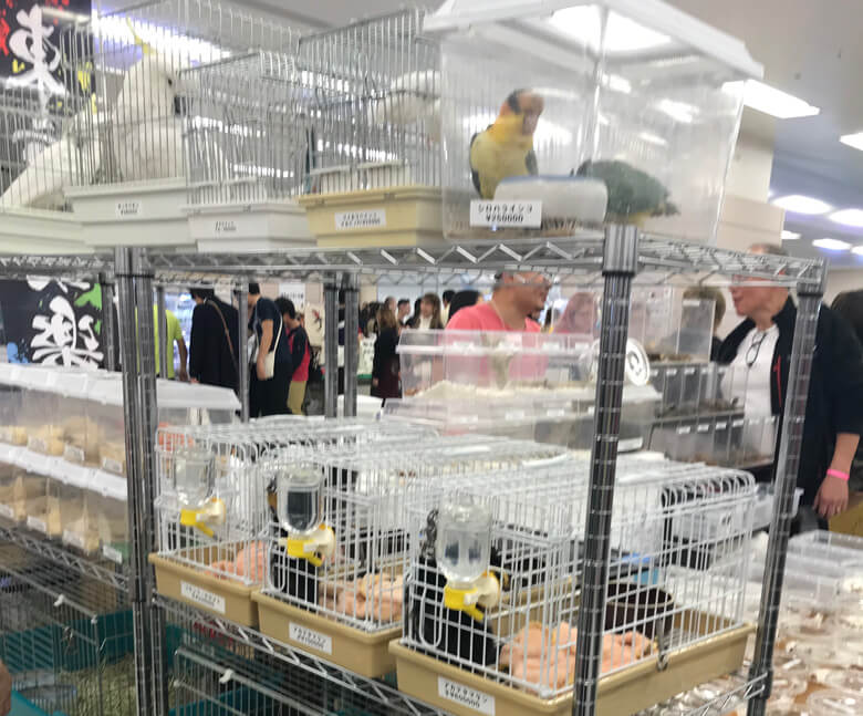 日本で開かれているペットの販売フェア。大規模なものでは数万人が集まり、鳥類や爬虫類、哺乳類など、さまざまな生物が取引されている。