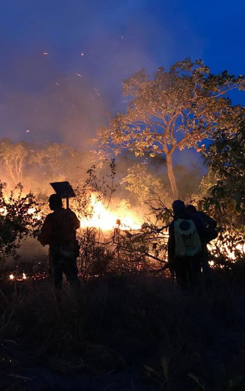 ブラジルでの消火活動