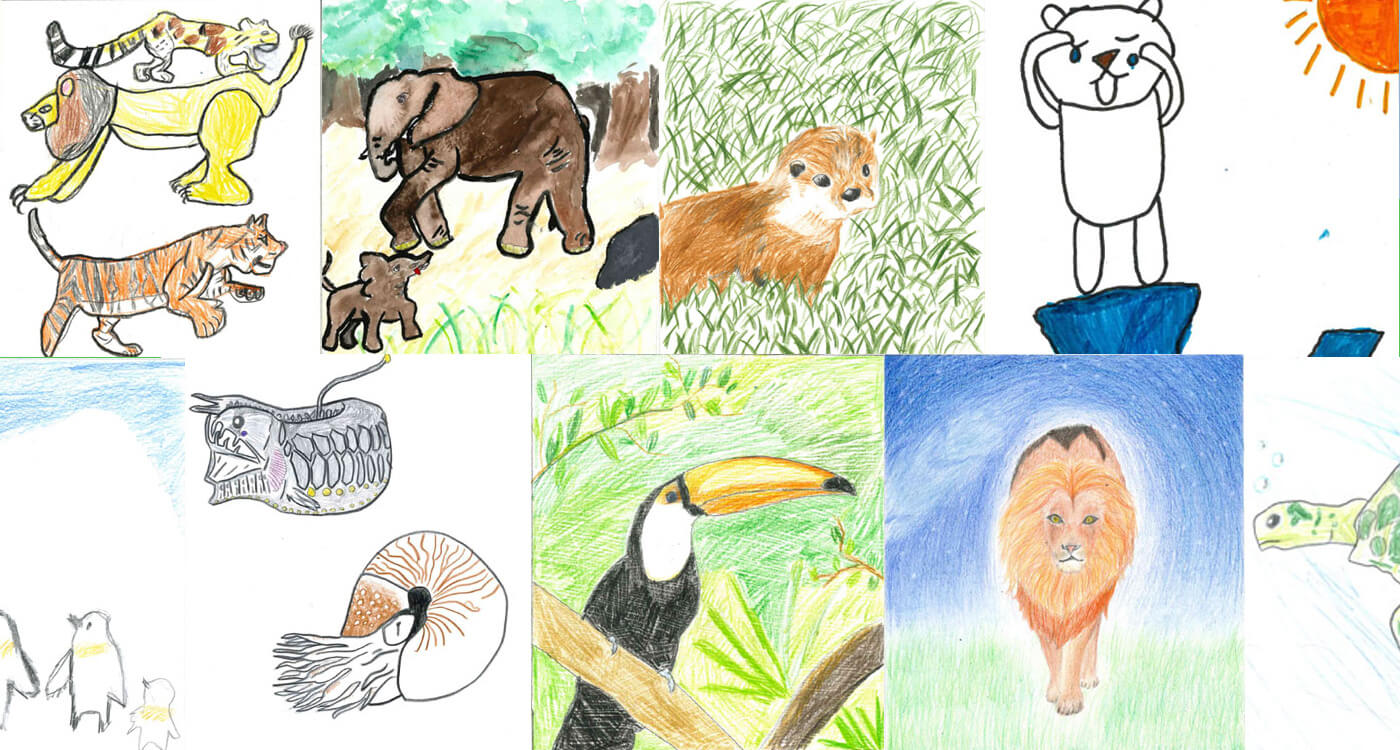 子どもたちが描いた 未来に残したい大切な自然や生きものたち Wwfジャパン 子どもたちが描いた 未来に残したい大切な自然や生きものたち Wwfジャパン