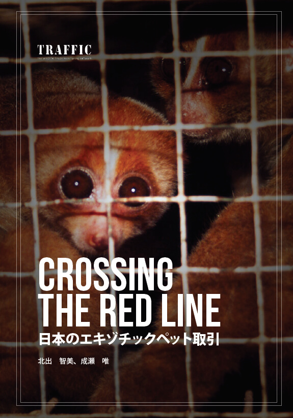 報告書『Crossing the Red Line:日本のエキゾチックペット取引』