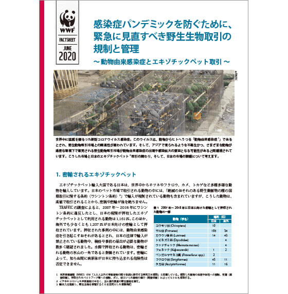 発行:WWFジャパン<br>形式:PDF(1.65MB) <br>発行年:2020年6月11日<br>