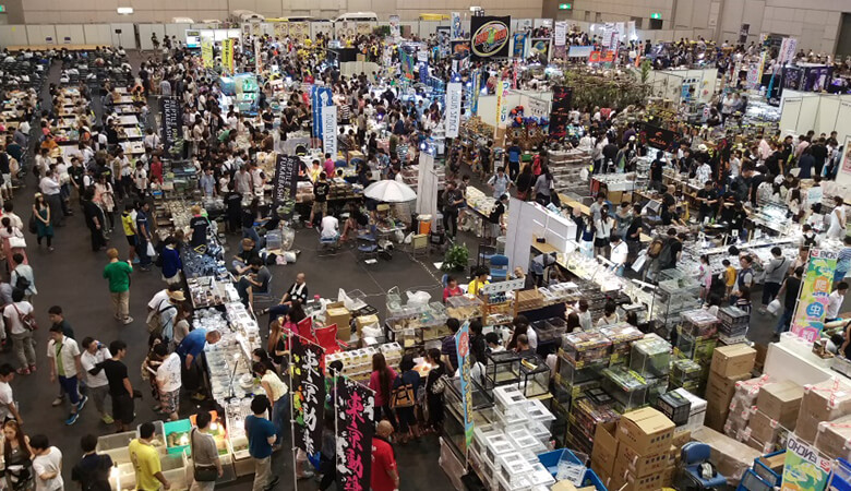 日本のペット展示即売会
