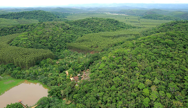 FSC認証林。FSCでは、環境・社会的価値を調査し、その価値を守りながら森林を管理・経営することが定められている。そのため自然林と植林地がモザイク状に広がって見えることがある。