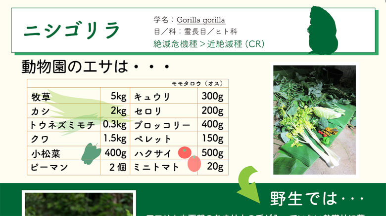 京都市動物園のニシゴリラがイベント当時に食べていたもの