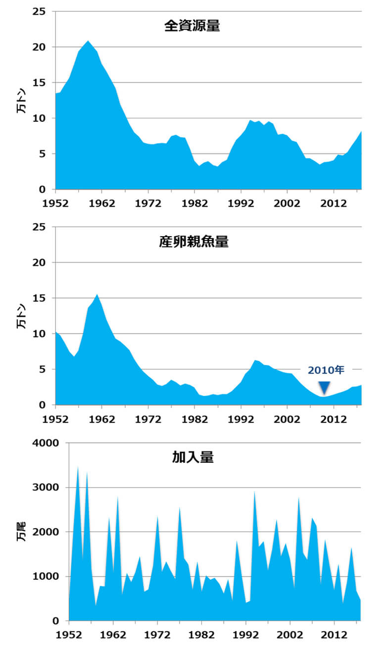 豪華 日本の食卓からマグロが消える日 世界マグロ摩擦