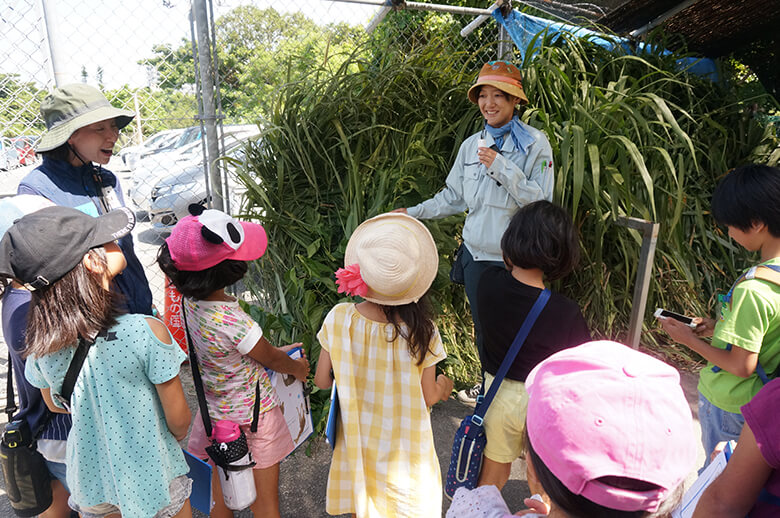 ワークショップイベントで飼料庫を回ると、たくさんの枝葉が立てかけられていました