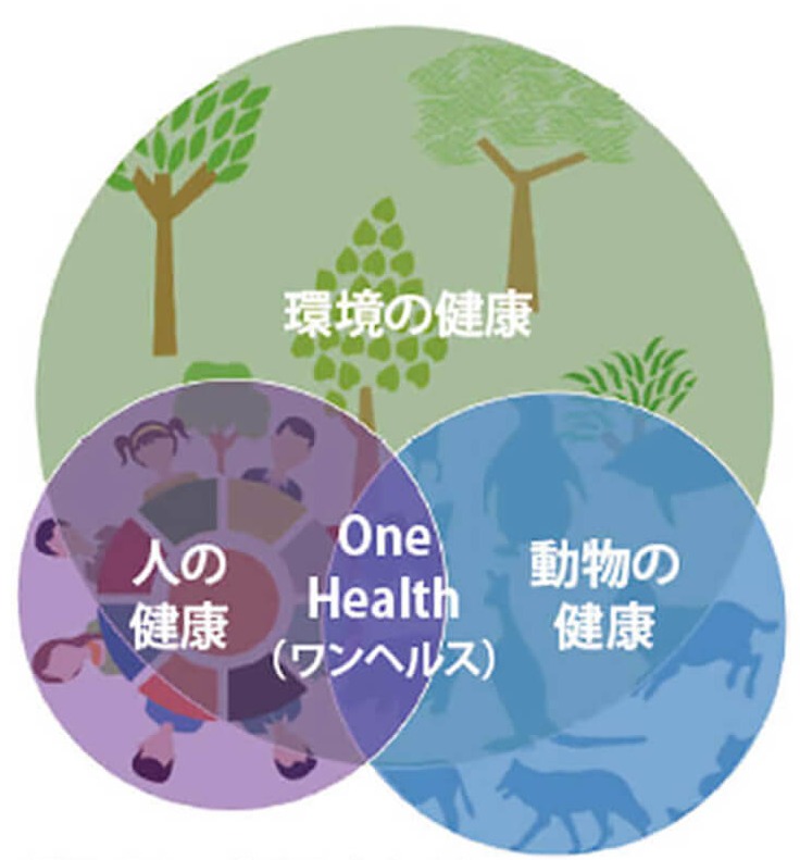 ワンヘルスのイメージ
