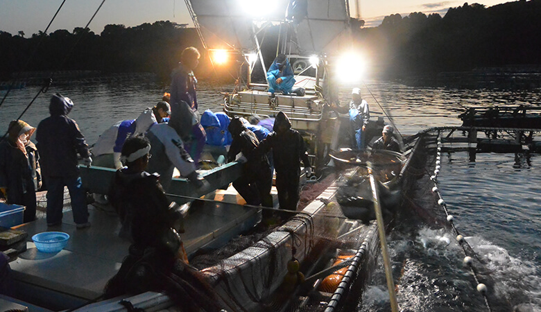 持続可能な水産業には、魚の数だけではなく環境・社会問題の解決が必要です