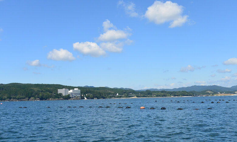 戸倉の海に浮かぶ牡蠣養殖のための浮き玉(養殖いかだ)