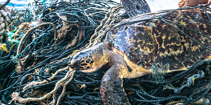 深刻な海洋プラスチック問題の原因「ゴーストギア」を無くそう！