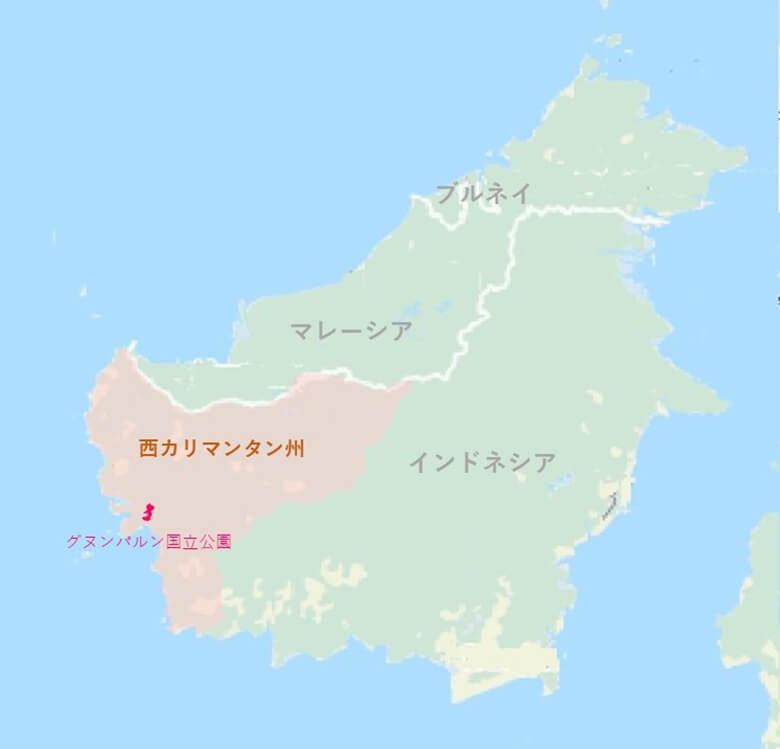 グヌンパルン国立公園周辺には23の村があり、医療費を確保するために各家庭で年間平均500本以上もの規模で伐採が行われていました。