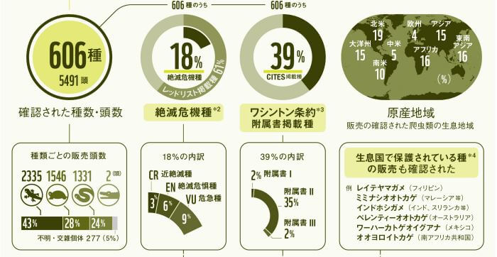 2017年にTRAFFICが行なった国内のペット市場の調査からは、調査で確認された606種のうち18%が絶滅危惧種であったことや、生息国で保護対象となっている種の販売を確認しています。