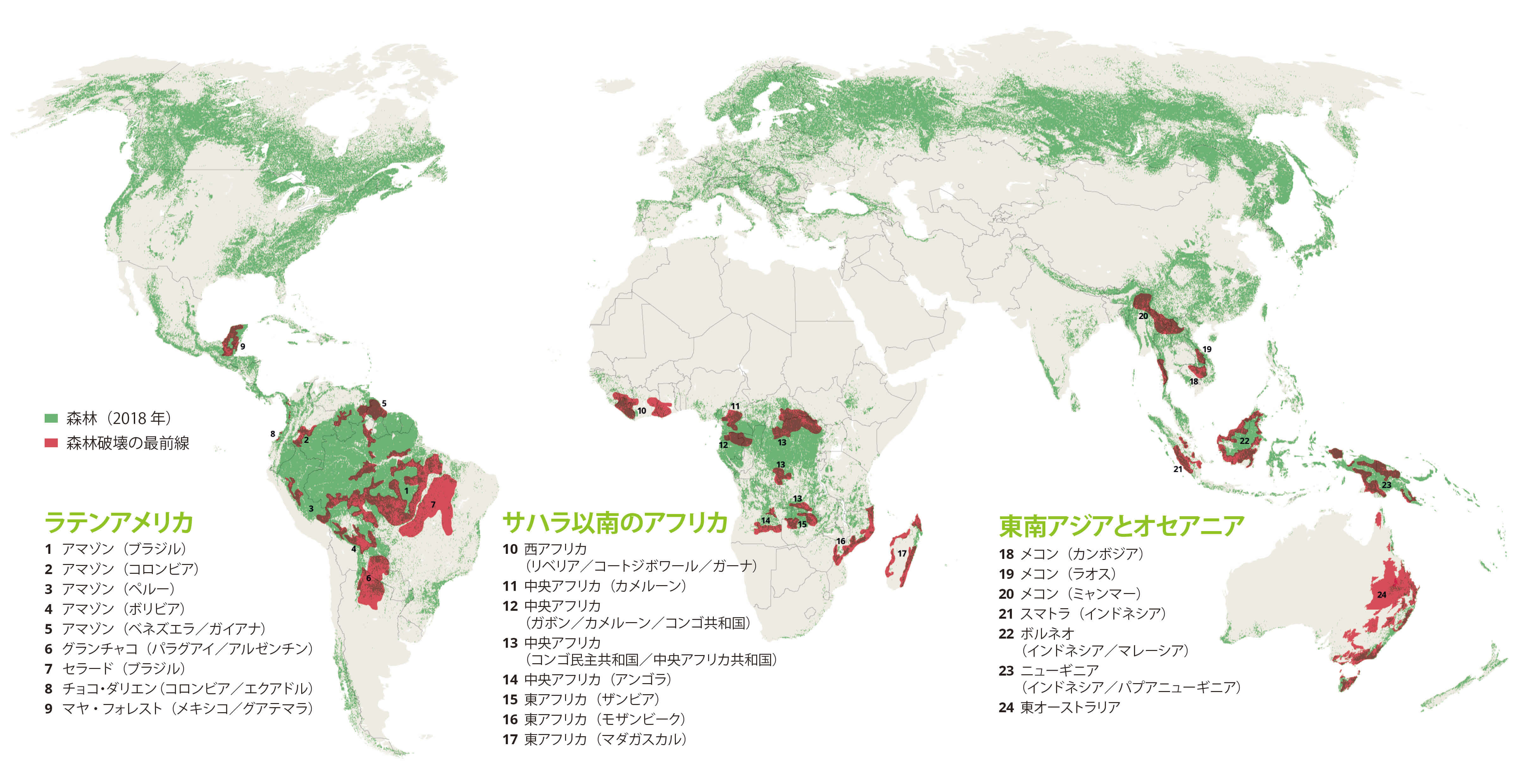 動画あり 森林破壊の最前線 最新報告書を発表 Wwfジャパン