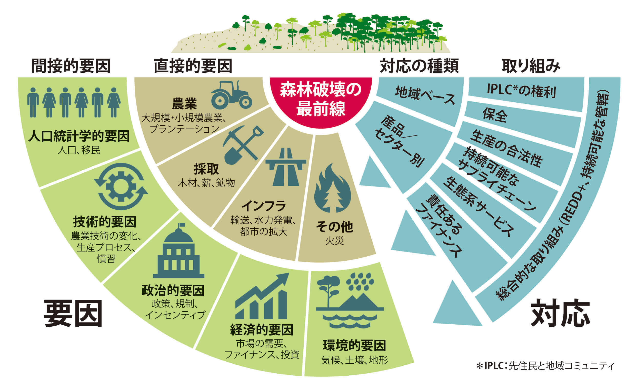 森林減少の直接的、間接的要因と減少を阻止するための取り組み