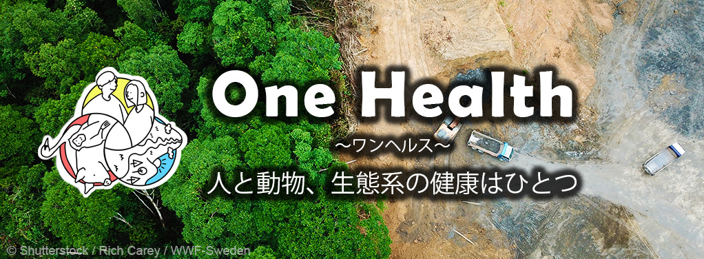 ワンヘルス（One Health）」～次のパンデミックを防ぐカギ ｜WWF