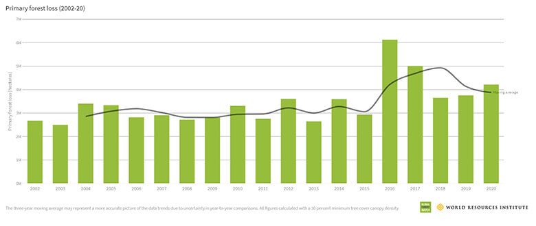 コロナ禍で森林破壊は悪化したか Wwfジャパン