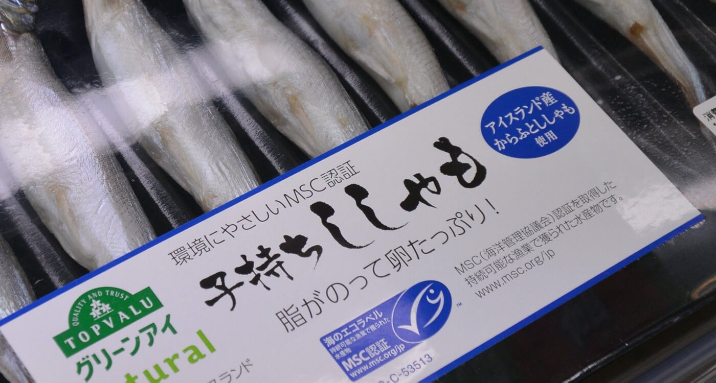 海を守るマーク（1） 天然水産物の認証制度 MSCについて ｜WWFジャパン