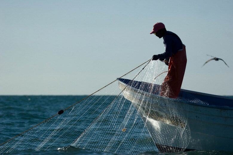 漁業は国や海域、対象とする魚種などによって様々な方法が用いられ、それぞれ環境への影響が異なっている。