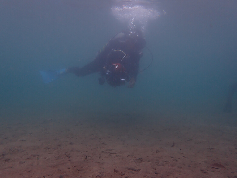 橋周辺の浦内川の水中の様子を撮影