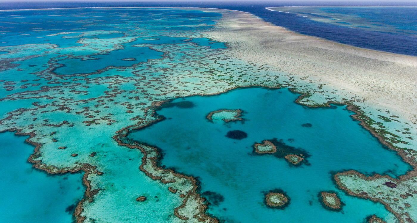 世界自然遺産グレート バリア リーフが 危機遺産 に Wwfジャパン