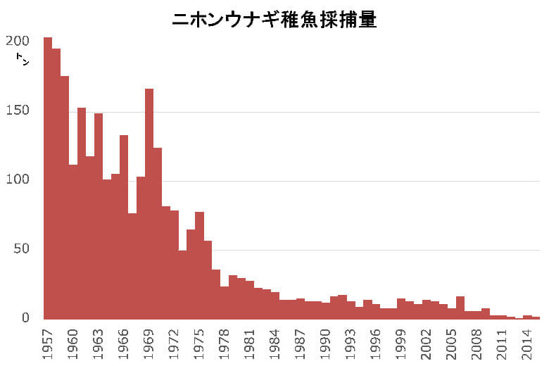 図1.ニホンウナギ稚魚の採捕量。ニホンウナギの稚魚の国内採捕量は一貫して減少し続けており、2000年代以降も依然として減少している。