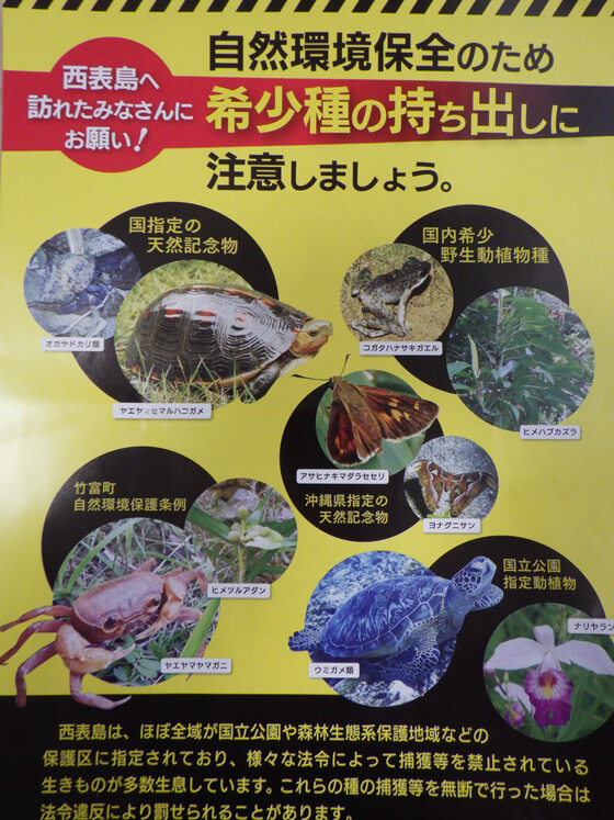 希少野生生物の持ち出しへ注意喚起するちらし