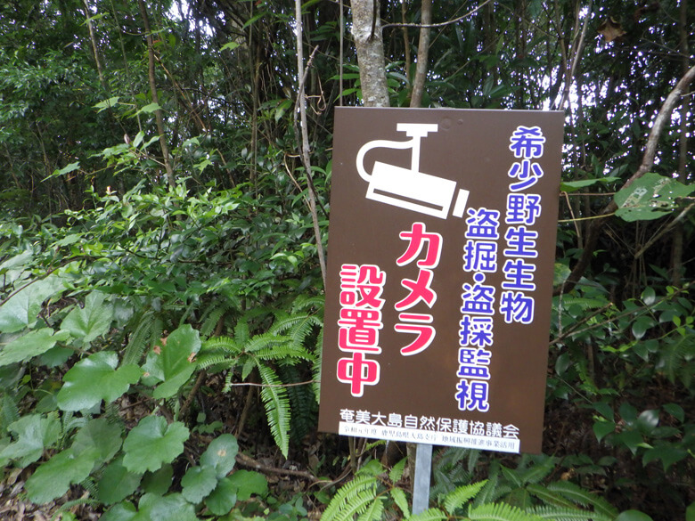 登山道に設置された希少野生生物の違法採集禁止の看板