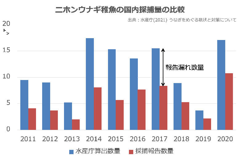 図3.ニホンウナギ稚魚の国内採捕量の比較。輸入された数量を差し引いた国内のシラスウナギの採捕量(青棒)と特別採捕の報告量(赤棒)との間には毎年大きな差異がある。