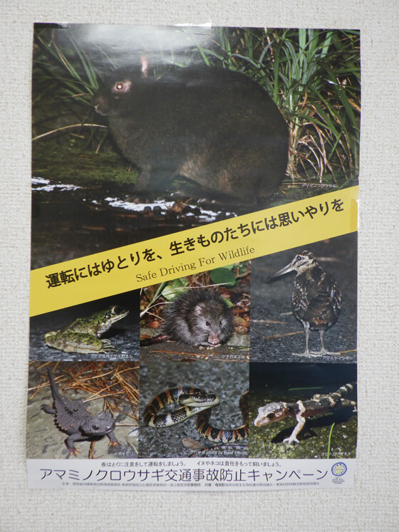 野生生物の交通事故(ロードキル)防止を呼び掛けるポスター