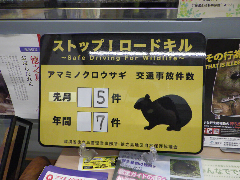 アマミノクロウサギのロードキル防止の看板