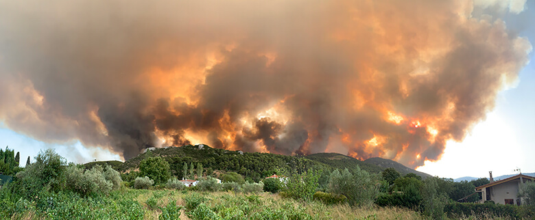 ギリシャの山火事。ギリシャでは毎年、火の不始末などが原因で火災が発生し、深刻な問題になってきた。さらに近年は、気候変動(地球温暖化)による干ばつにより、火災の規模と被害が大きくなっている。こうした火災の頻発は、地域の方々の暮らしや命はもちろん、地中海沿岸の貴重な自然環境にも、大きな被害をもたらしてしまう。