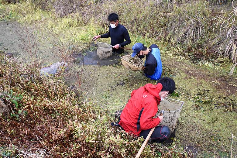 環境DNA分析のための採水を行なった地点で水生生物相を確認する鬼倉研究室の皆さん