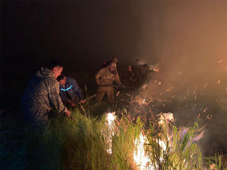 写真:保護区で消火活動にあたる消防隊