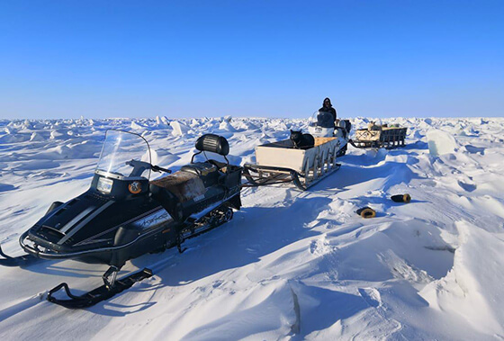 メドベジイ諸島での調査風景