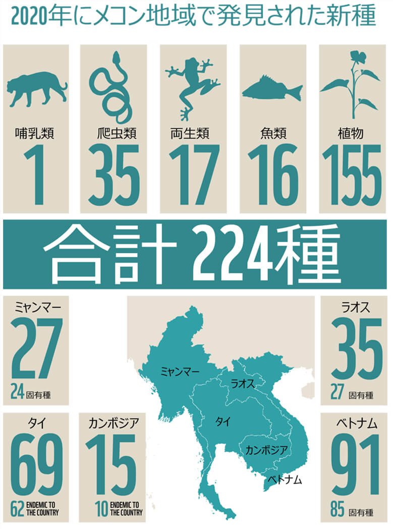 2020年に見つかった新種の一覧。現時点では1つの国でしか見つかっていない種を固有種としているが、今後別の国で見つかる可能性もある。©WWFジャパン
