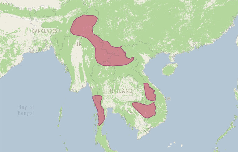 メコン地域の森林破壊の最前線(赤)。緑は森林。