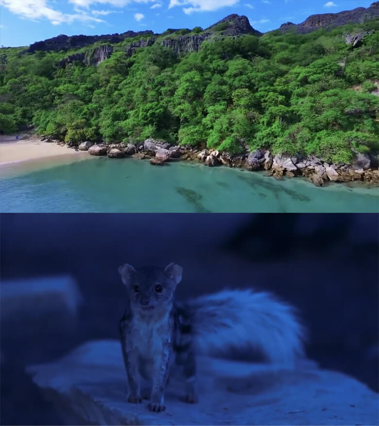マダガスカルの素晴らしい自然