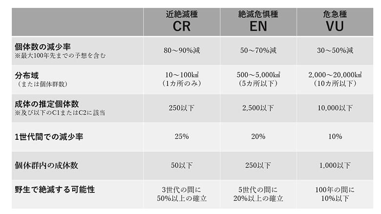 EPBC法に掲載される、オーストラリア版レッドリストの絶滅危機カテゴリーの基準表(豪州絶滅危機種科学委員会のガイドラインを参考に編集)。コアラはたった10年の間にVUからENへと警戒レベルが引き上げられました。なお、コアラはIUCN(国際自然保護連合)の世界のレッドリストでも「VU」に選定されています。 ©