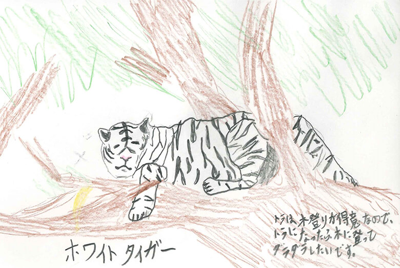 神奈川県の今西智成さん(13歳)<br>トラは、木登りが得意なので、トラになったら木に登ってダラダラしたいです。<br>