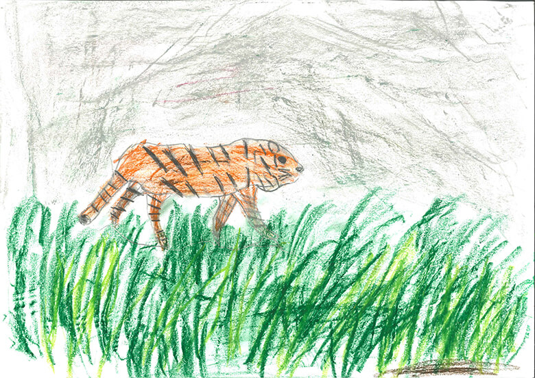 京都府の岡本青さん(8歳)<br>トラはぜつめつのおそれがたかくて、まもれたらいいなとおもっています。<br>