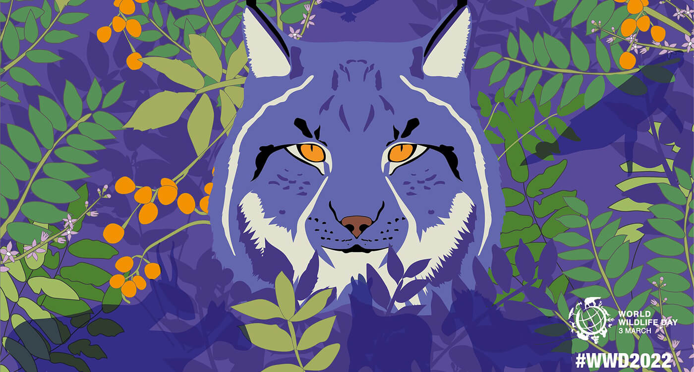 世界野生生物の日にワシントン条約を考える ｜WWFジャパン