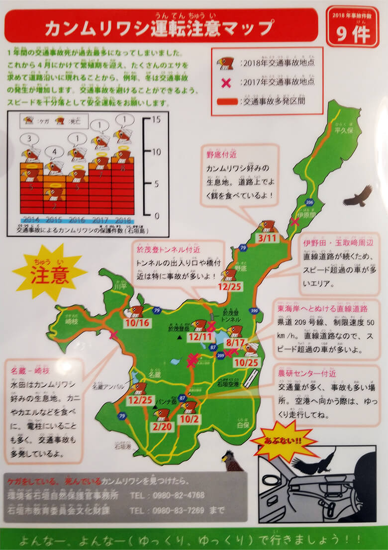 衝突事故が発生した場所を示すマップ。カンムリワシは石垣島の食物連鎖の頂点捕食者ですが、道路上においてはその限りではありません。(環境省沖縄奄美自然環境事務所/石垣市教育委員会/沖縄県環境部自然保護課作成)