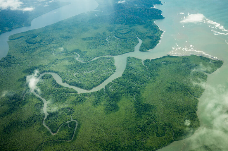 希少なイグアナ類の生息地の一つである中米のコスタリカ。世界の生物多様性の6%を占めるともいわれる豊かな自然を擁しています。