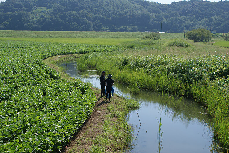 九州の水路