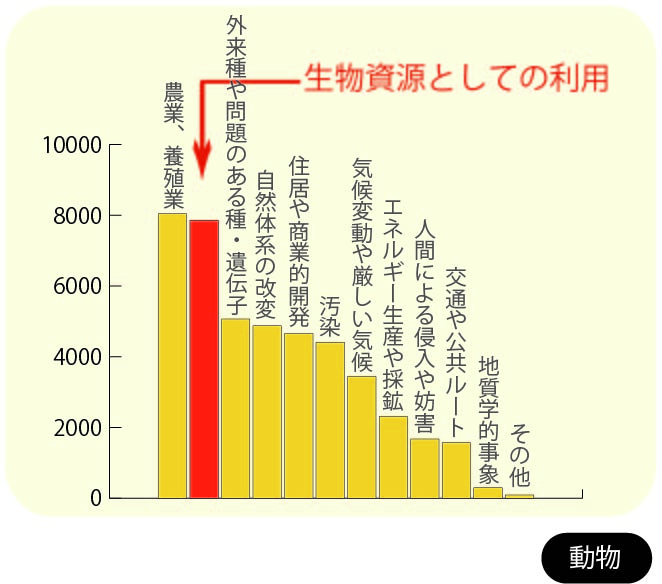 ©IUCN-Redlist 2021-3よりTRAFFICで集計