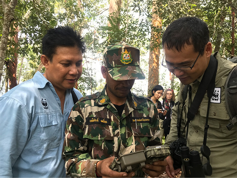 タイの森のなかに設置していたカメラトラップの画像を現地スタッフと確認している岩渕さん(写真右)