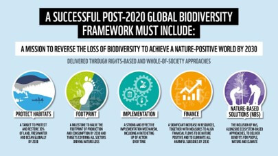 ポスト2020生物多様性枠組みでWWFが求める5つの項目