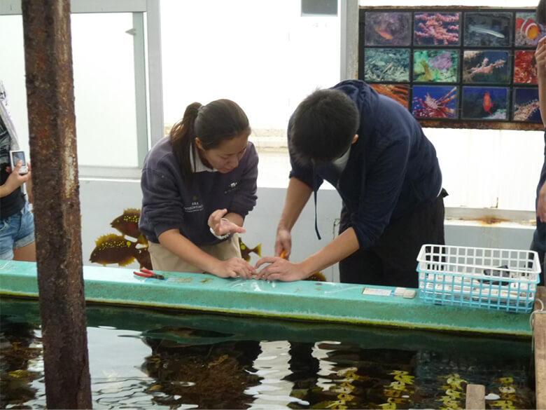沖縄県恩納村でのサンゴの植樹の様子。香坂氏プレゼン資料より